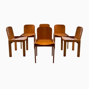 Curved Chairs in Larch, Set of 6