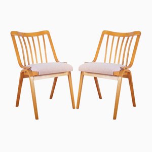 Mid-Century Czechoslovakian Dining Chairs in Bentwood from Ton, 1970s, Set of 2