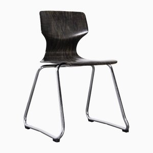 Dark Walnut Dining Chair on Chrome Legs from Pagholz, 1960s