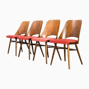 Dining Chairs in Oak by Radomir Hoffman, 1950s, Set of 4