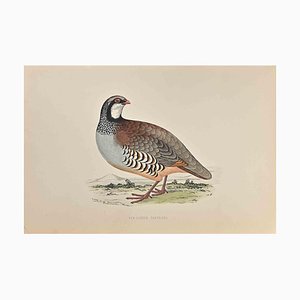Alexander Francis Lydon, Red-Legged Partridge, Original Woodcut Print, 1870