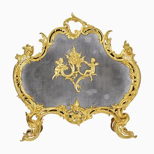 French Rococo Fireplace Screen, 1800s