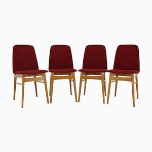 Elm Dining Chairs, Czechoslovakia, 1960s, Set of 4