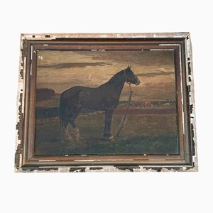 Cavallo, XIX secolo, olio su tavola