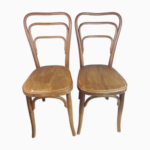 Dining Chairs by Jacob & Josef Kohn for Thonet, 1890s, Set of 2