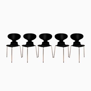 Modell 3100 Stühle von Arne Jacobsen, Fritz Hansen, Denmark, 1963, 5er Set