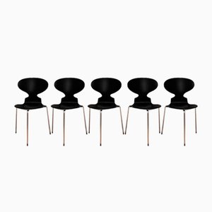Sillas modelo 3100 de Arne Jacobsen, Fritz Hansen, Dinamarca, 1963. Juego de 5