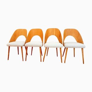 Chairs from Proj. A. Suman, Tatr Nabytok for Tatra, Czechoslovakia, 1960s, Set of 4