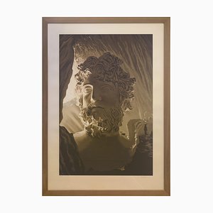 Daniel Arsham, Tropical Cave of Zeus, 2021, Silkscreen, Framed
