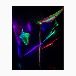 G23LAB, Dragonfly 44, 2022, Sublimation Chromaluxe sur Aluminium