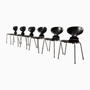 3100 Ant Esszimmerstühle von Arne Jacobsen für Fritz Hansen, 1960er, 6er Set