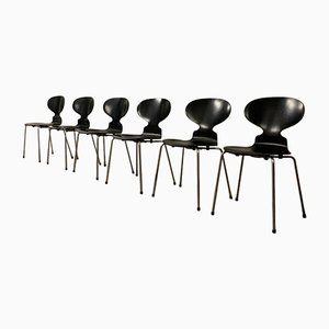 Sillas de comedor Ant 3100 de Arne Jacobsen para Fritz Hansen, años 60. Juego de 6