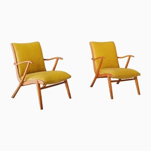 Mid-Century Yellow Upholstery Armchairs, 1950s, Set of 2