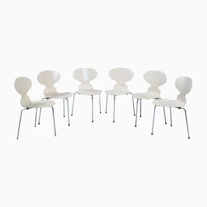Vintage White 3100 Ant Chairs by Arne Jacobsen for Fritz Hansen, 1981, Set of 6