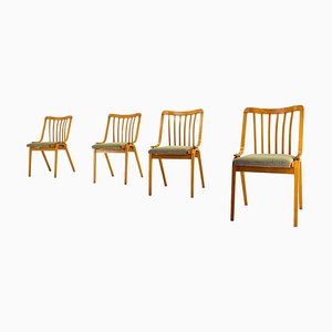 Dining Chairs attributed to Antonín Šuman, 1960s, Set of 4