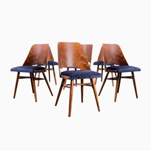 Walnut Dining Chairs by Radomir Hoffman, 1950s, Set of 6