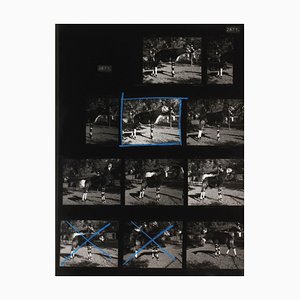 Simon Starling, Komposition mit Okapi, 1960er, Schwarz-Weiß-Fotografie