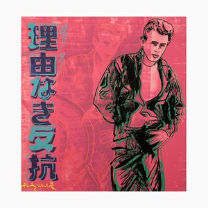Andy Warhol, James Dean: Pink, 20th Century, Lithograph