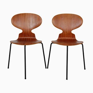 Ant Chairs in Teak by Arne Jacobsen, Set of 2