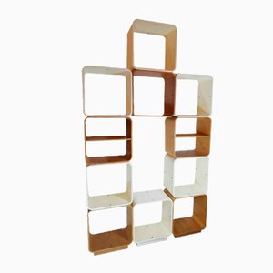 Scorzè Modular Shelves by Carlo De Carli for Fiarm, Venice, Italy, 1960s, Set of 11