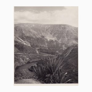 Hanna Seidel, Ecuadorianische Landschaft, 1960er, Schwarz-Weiß-Fotografie