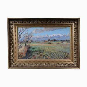Artista impresionista, paisaje otoñal, siglo XX, óleo sobre lienzo, enmarcado