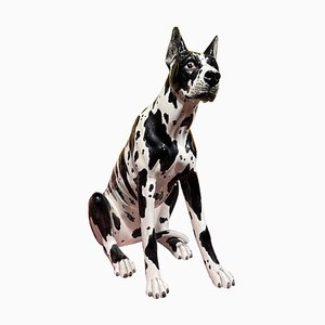Life Size Harlequin Great Dane Dog in Ceramic, 20th Century