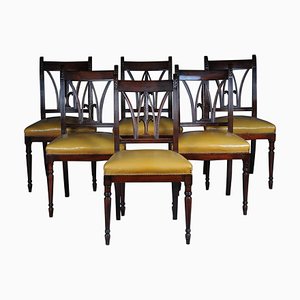 20th Century Victorian Dining Chairs in Mahogany & Leather, England, Set of 6
