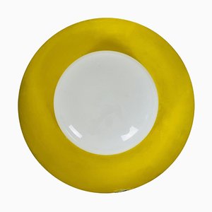 Mid-Century Metal and Opaline Glass Flushmount by Kaiser, 1960s