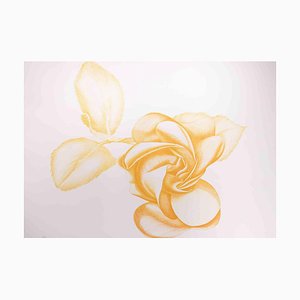 Giacomo Porzano, Rose Jaune, Gravure à l'Eau-Forte, 1972