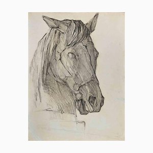 Luigi Galli, Horse's Head, Original Pencil Drawing, Late 19th Century