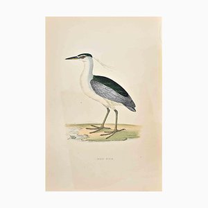 Alexander Francis Lydon, Night Heron, Woodcut Print, 1870