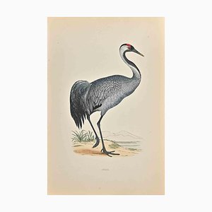 Alexander Francis Lydon, Crane, Woodcut Print, 1870