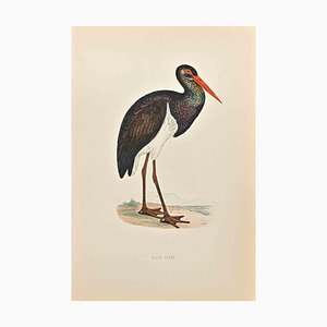 Alexander Francis Lydon, Black Stork, Holzschnitt, 1870
