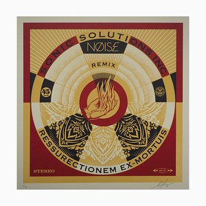 Shepard Fairey, Noise Remix, 21st Century, Siebdruck