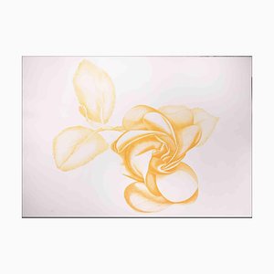 Giacomo Porzano, Yellow Rose, Original Etching, 1972