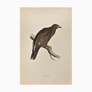 Alexander Francis Lydon, Spotted Eagle, Holzschnitt, 1870
