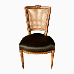 French Painted Cane Chairs in Pierre Frey Velvet, Set of 4