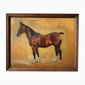 Frances Mabel Hollams (1877-1963), Study of Chestnut Hunter Horse, Oil on Wood