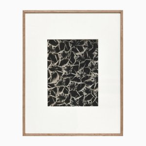 Karl Blossfeldt, Flower, Black & White Photogravure, 1942, Framed