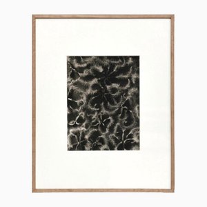 Karl Blossfeldt, Fiore, bianco e nero, 1942, Incorniciato
