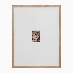 David Urbano, The Rose Garden No. 40, 2017, Impresión Giclée, Enmarcado
