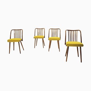 Beech Dining Chairs by Antonin Suman, 1960s, Set of 4