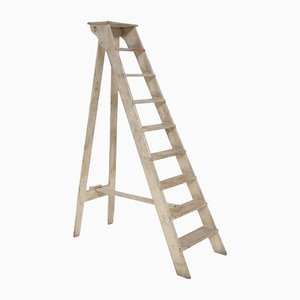 Antique Italian Beige Wood Ladder, 1920s