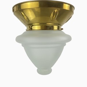 Viennese Ceiling Lamp with Oral Blades, 1920s