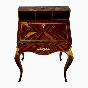 Louis XV Style Slope Desk in Precious Wood Marquetry, 1890s