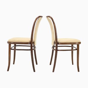 Bentwood Chairs from Ton, 1980s, Set of 2