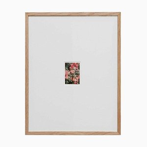 David Urbano, The Rose Garden No. 47, 2017, Photographic Giclee Print, Framed