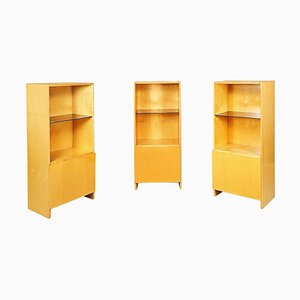 Italian Modern Light Briar with Smoked Glass Bookcase attributed to Saporiti, 1970s, Set of 3