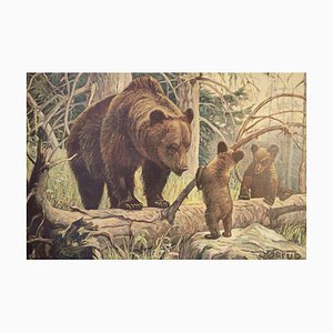 Poster scolastico con orsi e cuccioli, anni '20